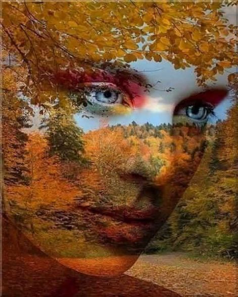 az_elet_utolso_negyedeben.jpg az_elet_utolso_negyedeben.jpg